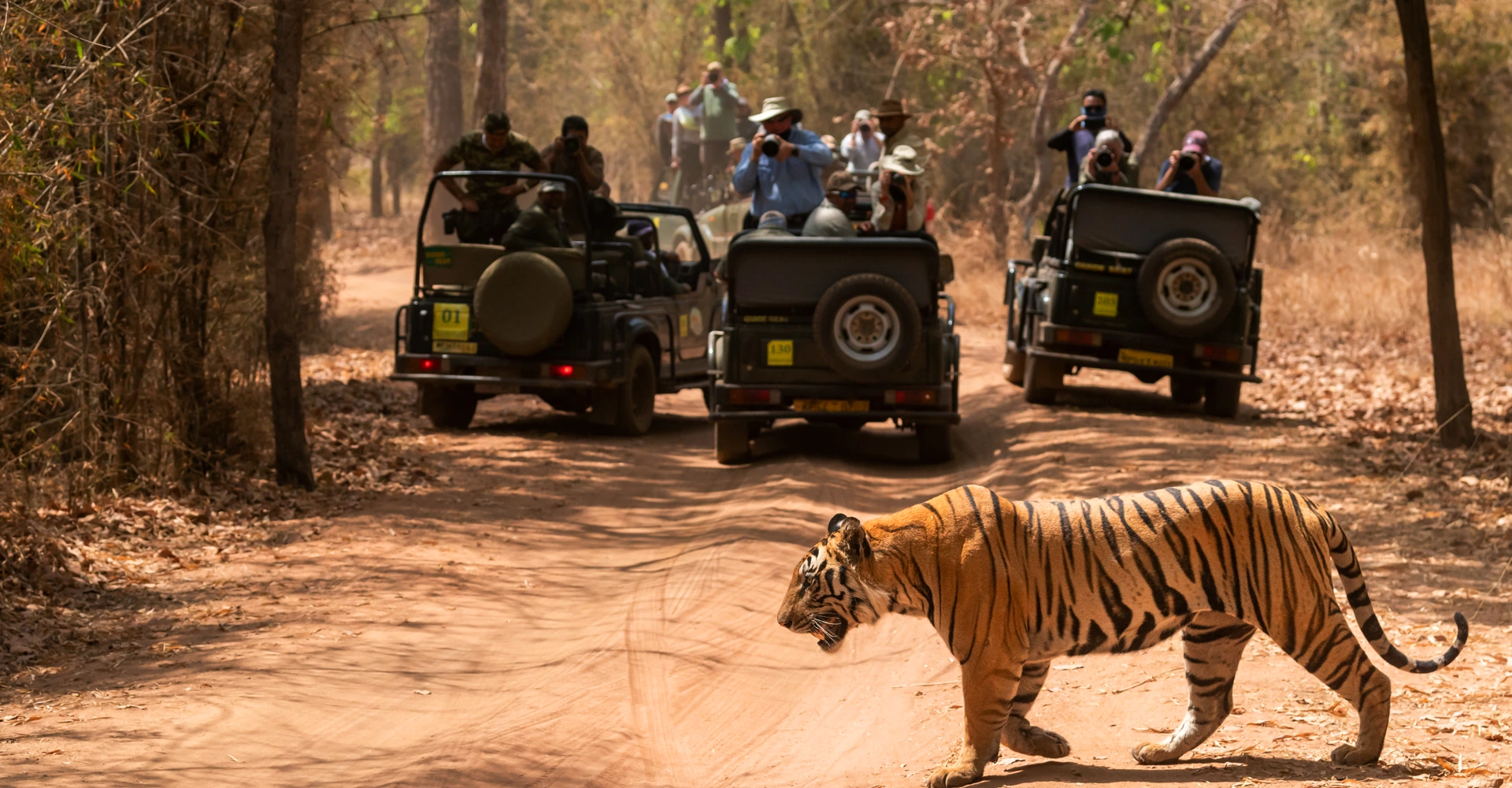 Rajasthan: The Land of Kings Rajasthan: The Land of Kings